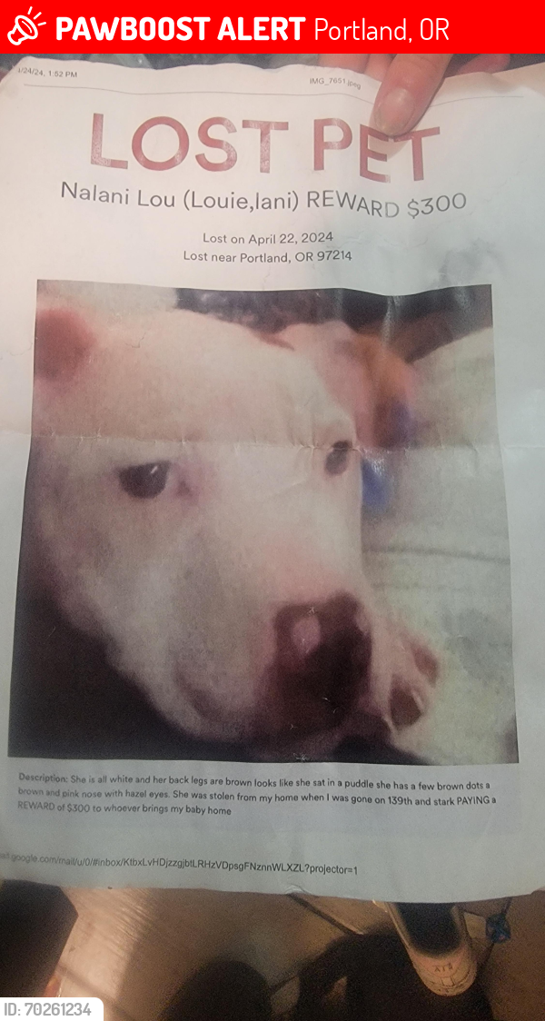 Lost Female Dog last seen Near church, Portland, OR 97233