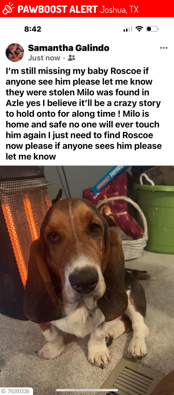Lost Male Dog last seen Near , Joshua, TX 76058