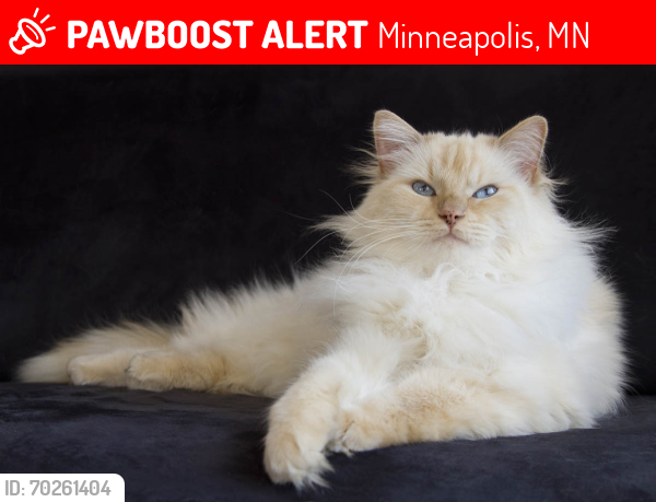 Lost Male Cat last seen Halifax ave n and 35th St n, Minneapolis, MN 55422