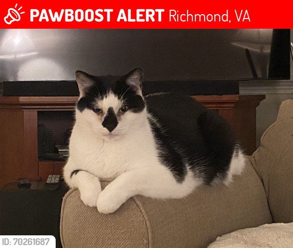 Lost Male Cat last seen Southampton Elementary School, Richmond, VA 23225