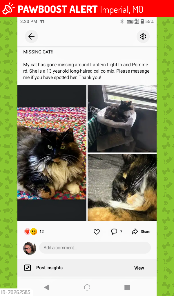 Lost Female Cat last seen Hollows at Frisco hills, Imperial, MO 63052