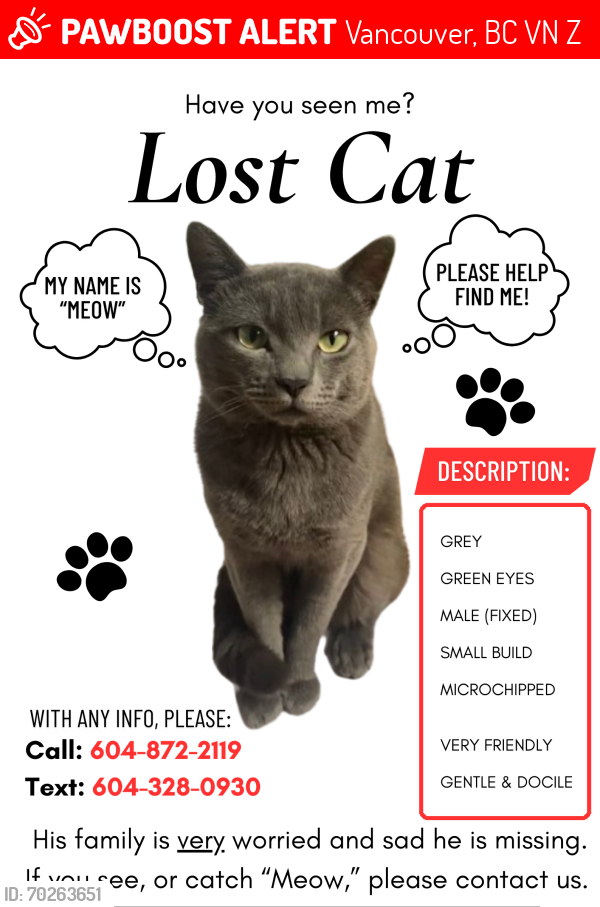 Lost Male Cat last seen Gladstone St. & East 31st , Vancouver, BC V5N 4Z6