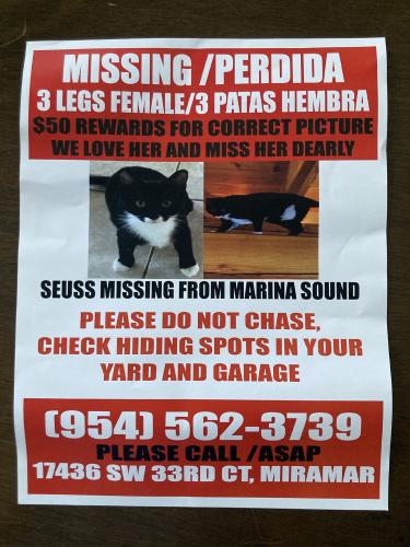 Lost Female Cat last seen Silverlakes-Marina Sound Community, Miramar, FL 33029