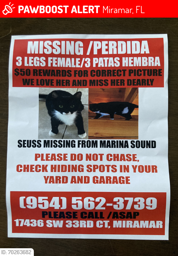 Lost Female Cat last seen Silverlakes-Marina Sound Community, Miramar, FL 33029