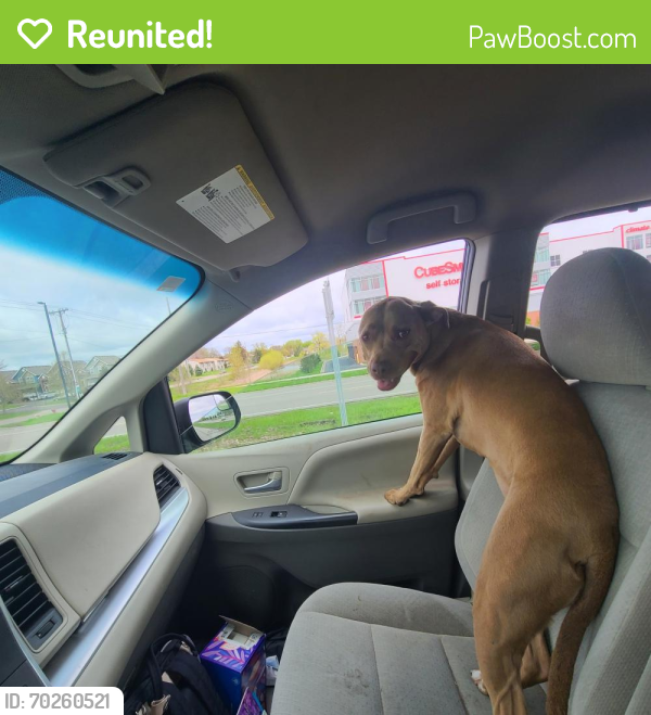 Reunited Female Dog last seen Meadows of round lake park, Andover, MN 55304