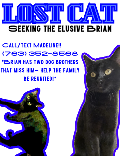Lost Male Cat last seen Julian H. Sleeper hse , Saint Paul, MN 55105