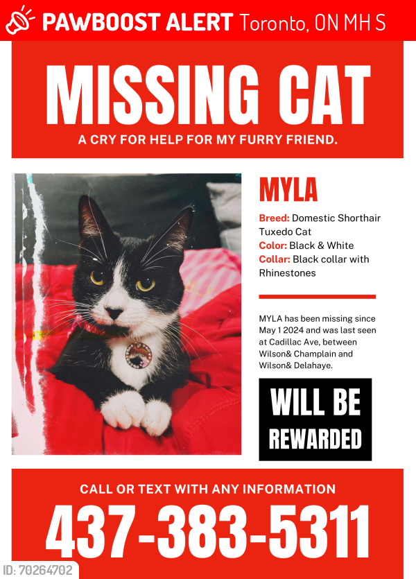 Lost Female Cat last seen Near Cadillac ave, Toronto, ON M3H 1S4