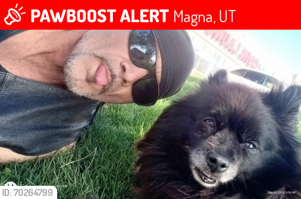 Lost Female Dog last seen Near Merriam way magna Utah, Magna, UT 84044