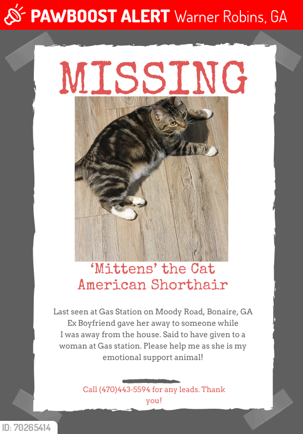 Lost Female Cat last seen S Gas Station, Bonaire, GA 31005