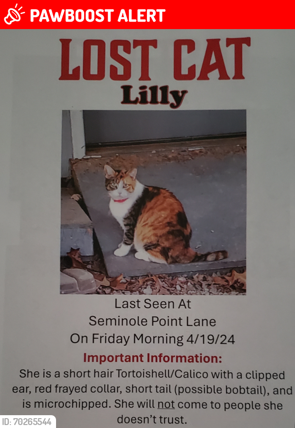 Lost Female Cat last seen Pleasant Hill Church Rd , Chatham County, NC 27344