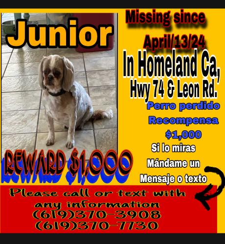 Lost Male Dog last seen Hey 74 & Leon Rd., Homeland, CA 92548