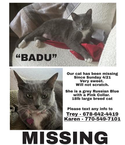 Lost Female Cat last seen Valley Brook Rd. , Scottdale, GA 30033