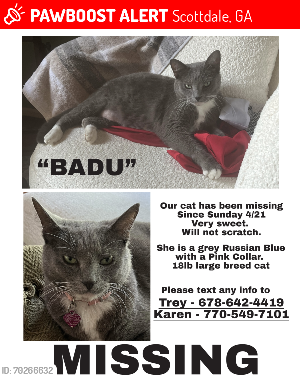 Lost Female Cat last seen Valley Brook Rd. , Scottdale, GA 30033
