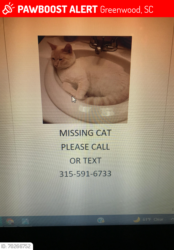 Lost Male Cat last seen Greenwood, SC, Greenwood, SC 29649