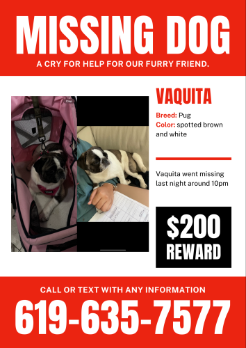 Lost Male Dog last seen San Miguel Rd, Bonita, CA 91902