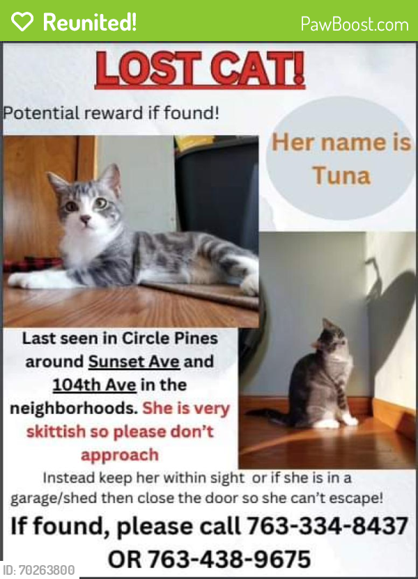 Reunited Female Cat last seen Near 104th & Sunset in Circle Pines about 2 blocks north of Centennial High School , Circle Pines, MN 55014