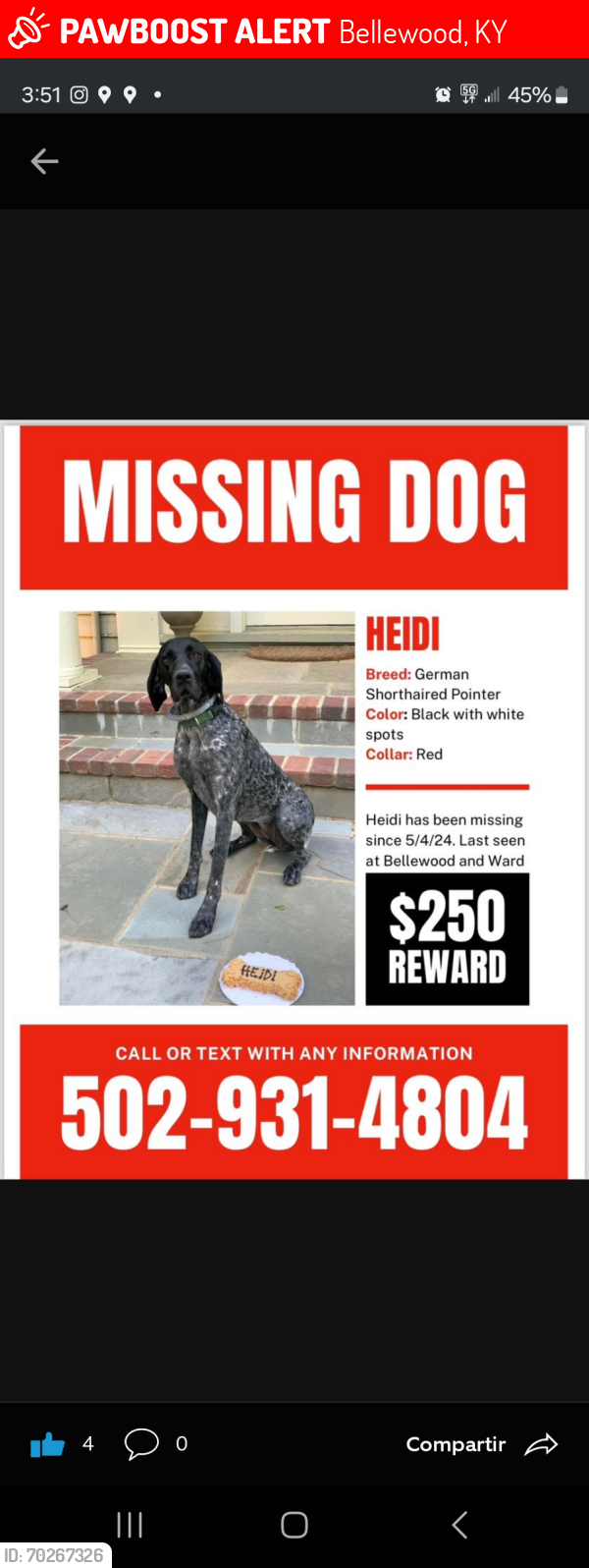 Lost Female Dog last seen Bellewood ky , Bellewood, KY 40207
