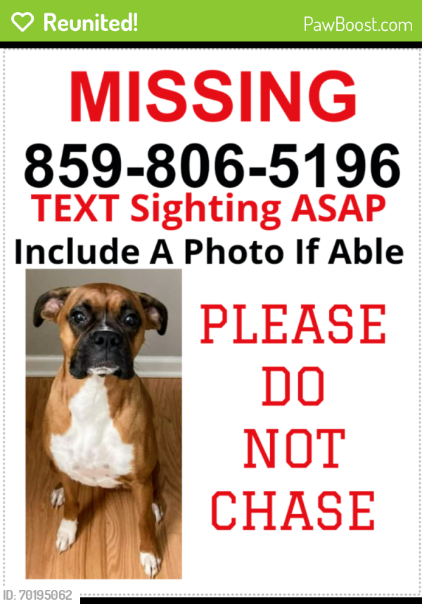 Reunited Female Dog last seen Sandersville Rd and Spurr, Lexington, KY 40511