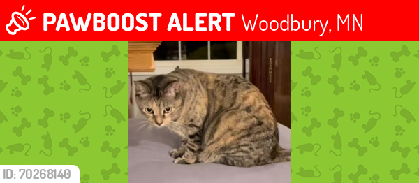 Lost Female Cat last seen BrookView Gardens (Private Drive)/ Sunrise Drive area, Woodbury, MN 55125
