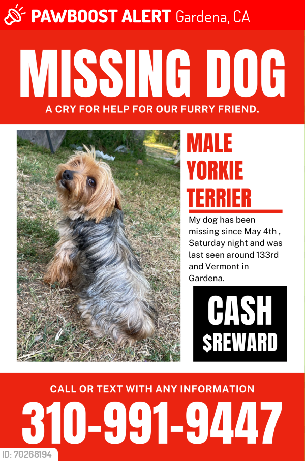 Lost Male Dog last seen Vermont & 135 St , Gardena, CA 90247