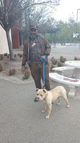 Lost Male Dog last seen Near Northgate Market in Southcrest, San Diego, CA 92113