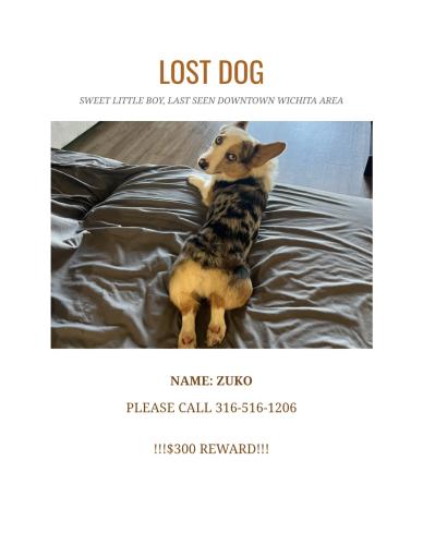 Lost Male Dog last seen Near N Piatt Ave. , Wichita, KS 67214