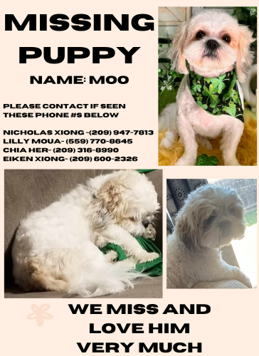 Lost Male Dog last seen Yosemite Ave, Merced, CA 95348