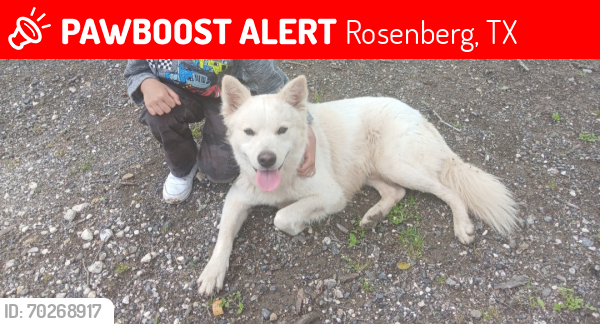 Lost Male Dog last seen , Rosenberg, TX 77471