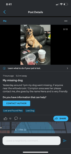 Lost Male Dog last seen 122nd st and wilmington ave, Compton, CA 90222