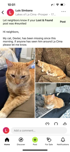 Lost Male Cat last seen La cima and first, Prosper, TX 75078