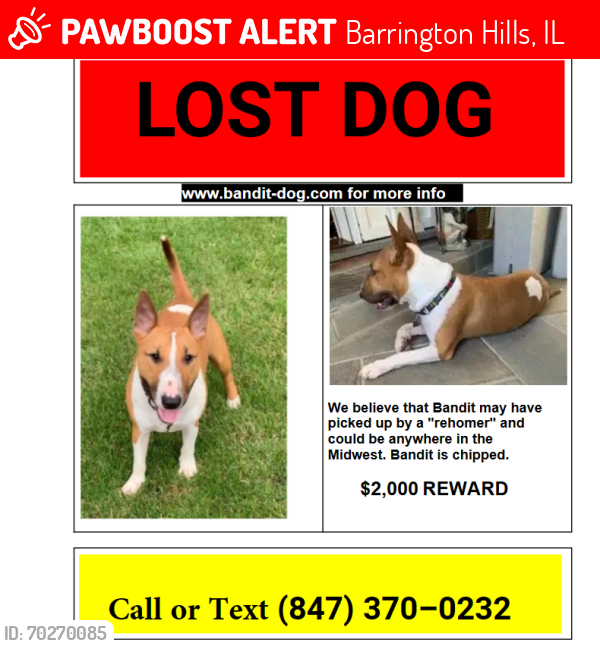 Lost Male Dog last seen Steeplechase Rd Barrington, IL 60010, Barrington Hills, IL 60010