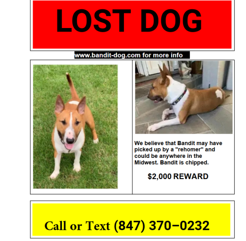 Lost Male Dog last seen Steeplechase Rd Barrington, IL 60010, Barrington Hills, IL 60010
