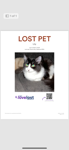 Lost Female Cat last seen Fairway Oaks Dr and Masters Ridge Rd, Chula Vista, CA 91915