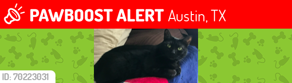 Lost Female Cat last seen Onion Creek area. By 35 highway, Austin, TX 78748