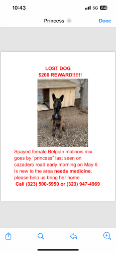 Lost Female Dog last seen Eto Camino rd and cazadero rd , Victorville, CA 92394