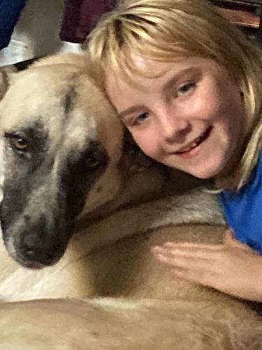 Lost Female Dog last seen Lockwood rd and  hogeye, Travis County, TX 78653