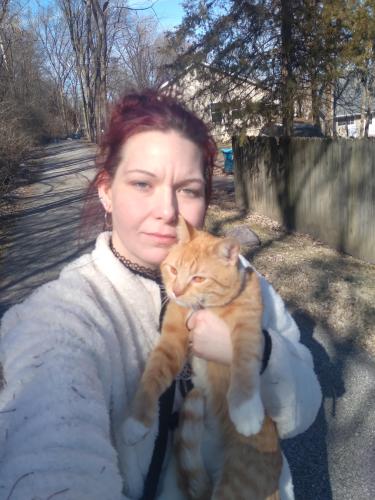 Lost Male Cat last seen Blanchette Park, Saint Charles, MO 63301