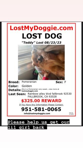 Lost Female Dog last seen Near rice canyon rd Fallbrook , Fallbrook, CA 92028