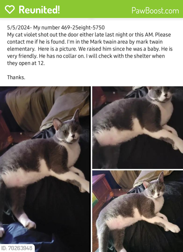 Reunited Male Cat last seen Mark twain. Elementary , Richardson, TX 75081