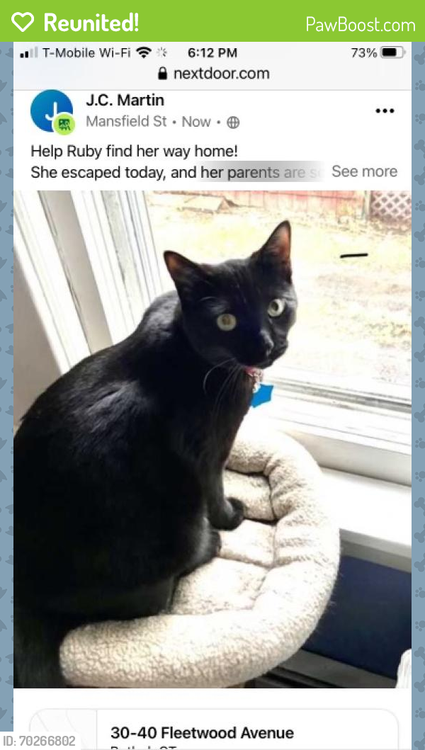 Reunited Female Cat last seen Grassy Plain Street and Fleetwood Avenue , Bethel, CT 06801