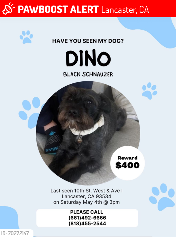 Lost Male Dog last seen 10th St & West Ave I, Lancaster, CA 93536
