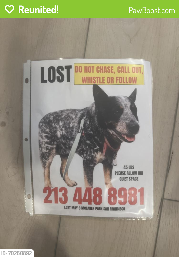 Reunited Male Dog last seen McClaren Park, San Francisco, CA 94134
