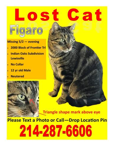 Lost Male Cat last seen Frontier Trl/Babbling Brook Dr. Lewisville - Indian  Oaks Subdivision, Lewisville, TX 75067