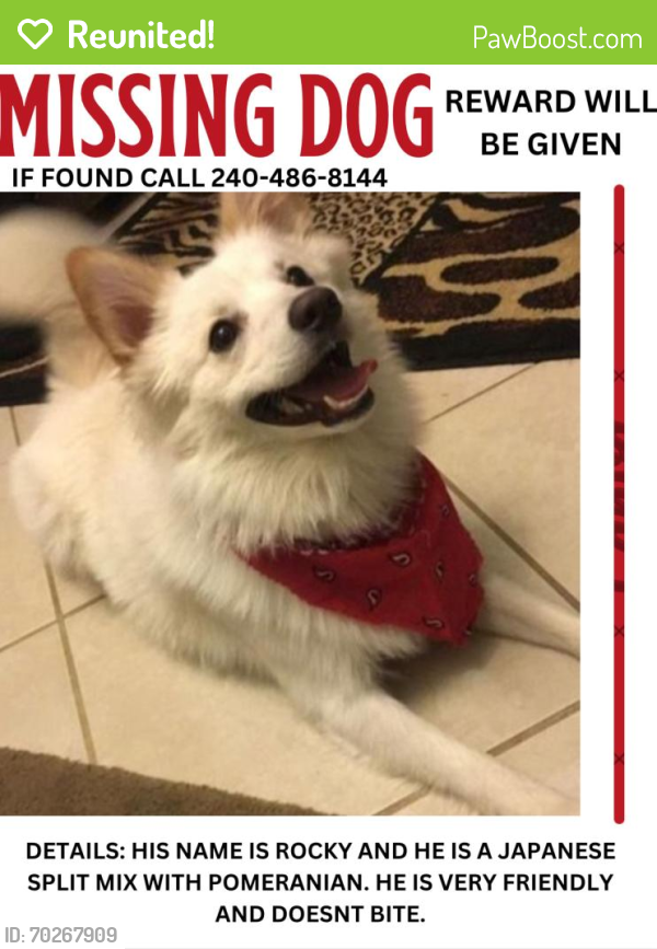 Reunited Male Dog last seen Near Taylor st hyattsville md 20784, Landover Hills, MD 20784