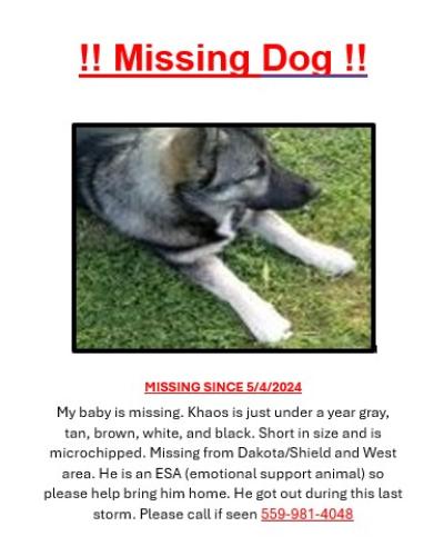 Lost Male Dog last seen Fastrip over by North Hudges Ave, Fresno, CA 93705