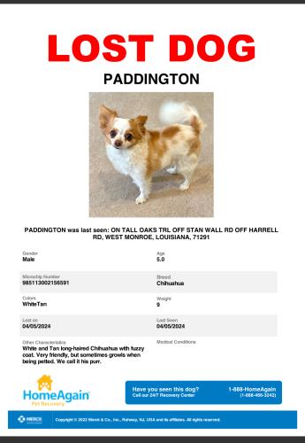 Lost Male Dog last seen Harrell Rd, West Monroe, LA 71291