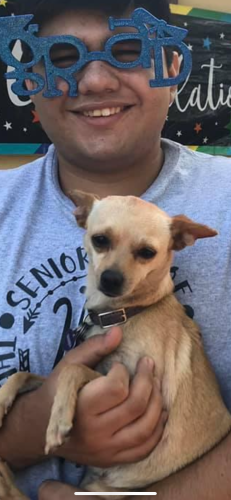 Lost Female Dog last seen Weber, Corpus Christi, TX 78415