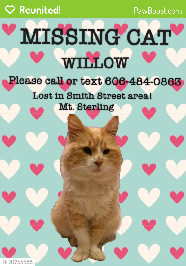 Reunited Male Cat last seen Nearest streets is Lincoln’s street and Smith street , Mount Sterling, KY 40353