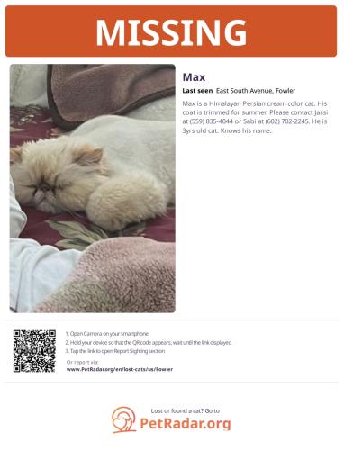Lost Male Cat last seen S Sunnyside Ave and E South Ave Fowler, Fowler, CA 93625