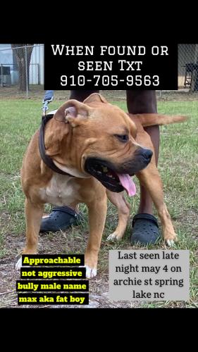 Lost Male Dog last seen Archie st // AC MHP, Harnett County, NC 28390